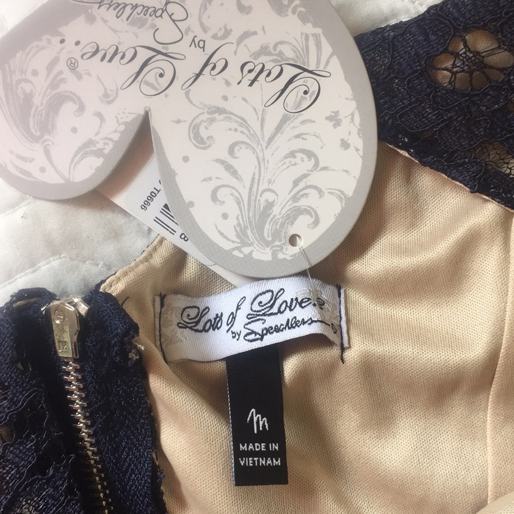 NWT Speechless Navy Lace Overlay Dress - Picture 7 of 9